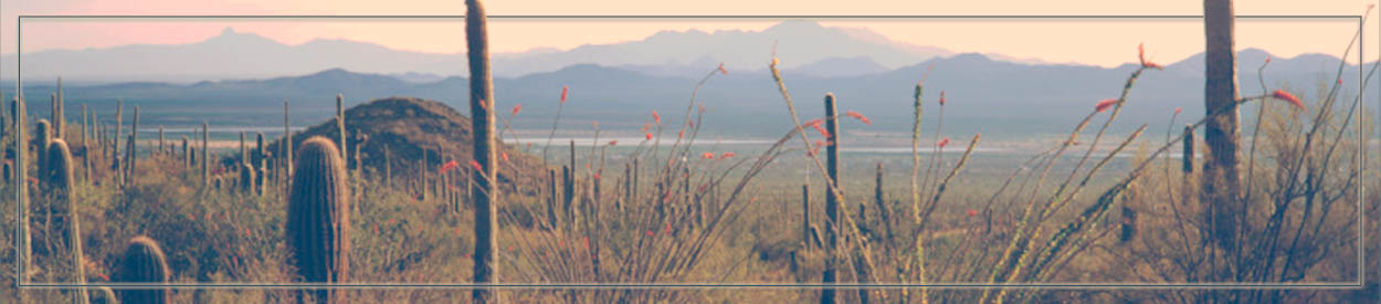 Untitled Header Image